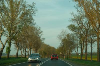 Drogi i wypadki Opole - Zdjęcie podglądowe artykułu