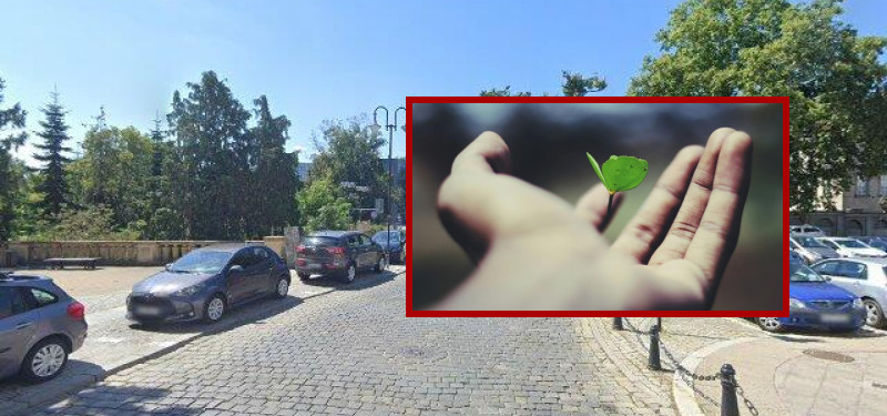 Akcje charytatywne Opole - Zdjęcie podglądowe artykułu